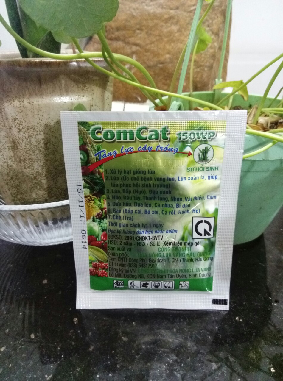 ban-de-ruou-bang-thung-go-soi-2