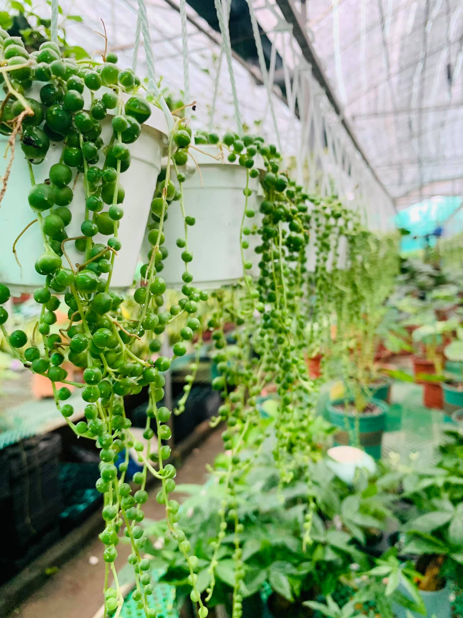 244150203_5064663956883942_7556303301983609011_n