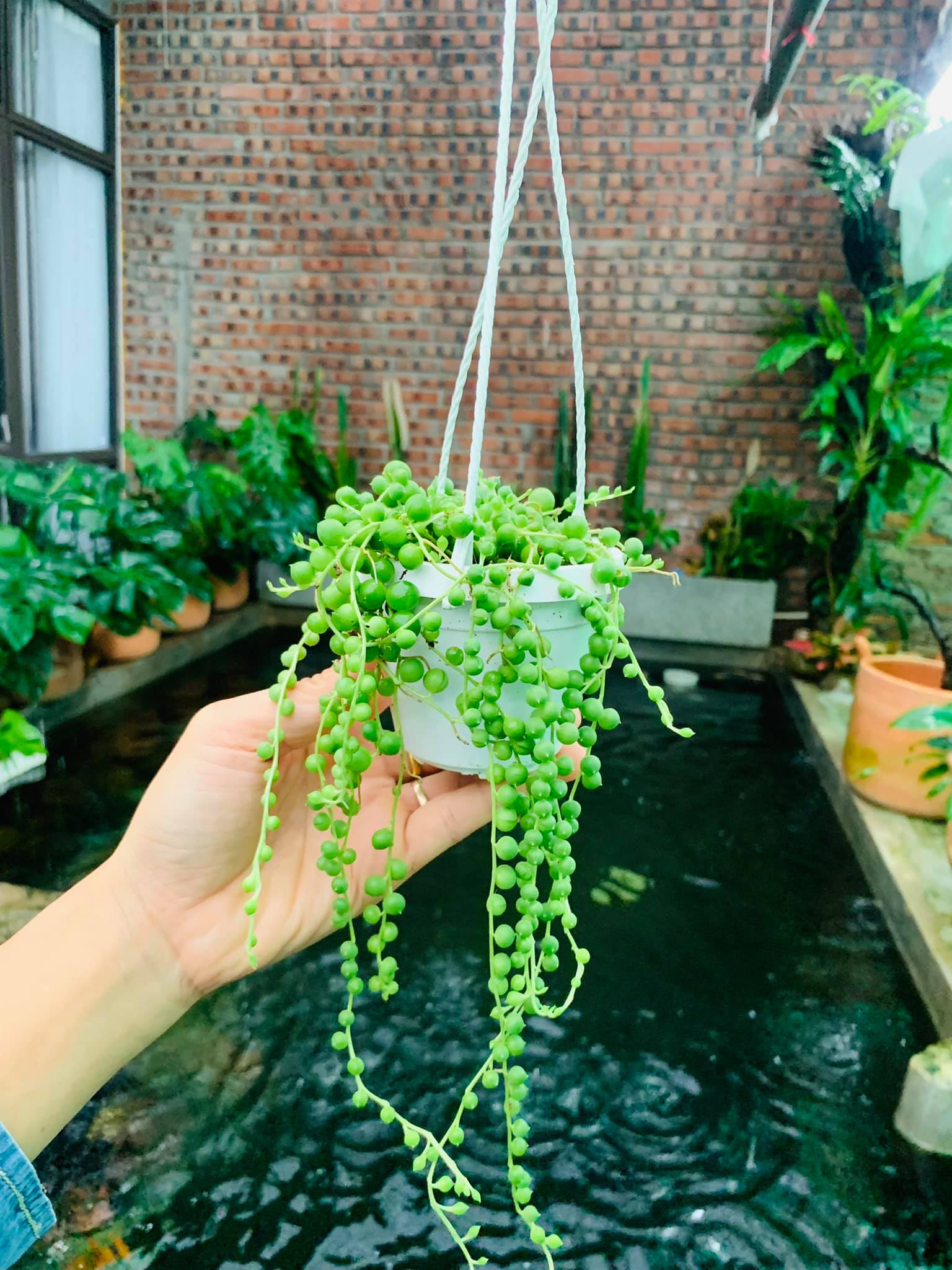 244561548_5064664036883934_8446126250727033651_n