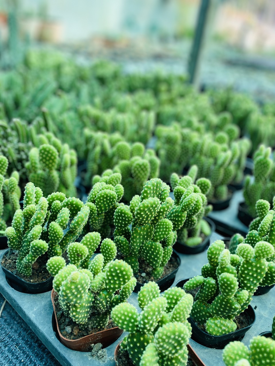 z3047447478598_16958d3f44ca085b22954d45da21ff14