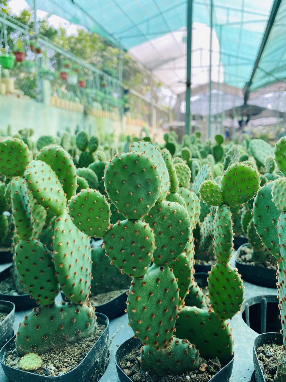 z3047447484386_f5780cf73eee8ffbf5f859c4a4f55b0f