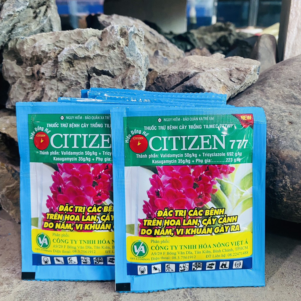 z3261173437387_e50a295c1c5beb9200218c229a9e5f38