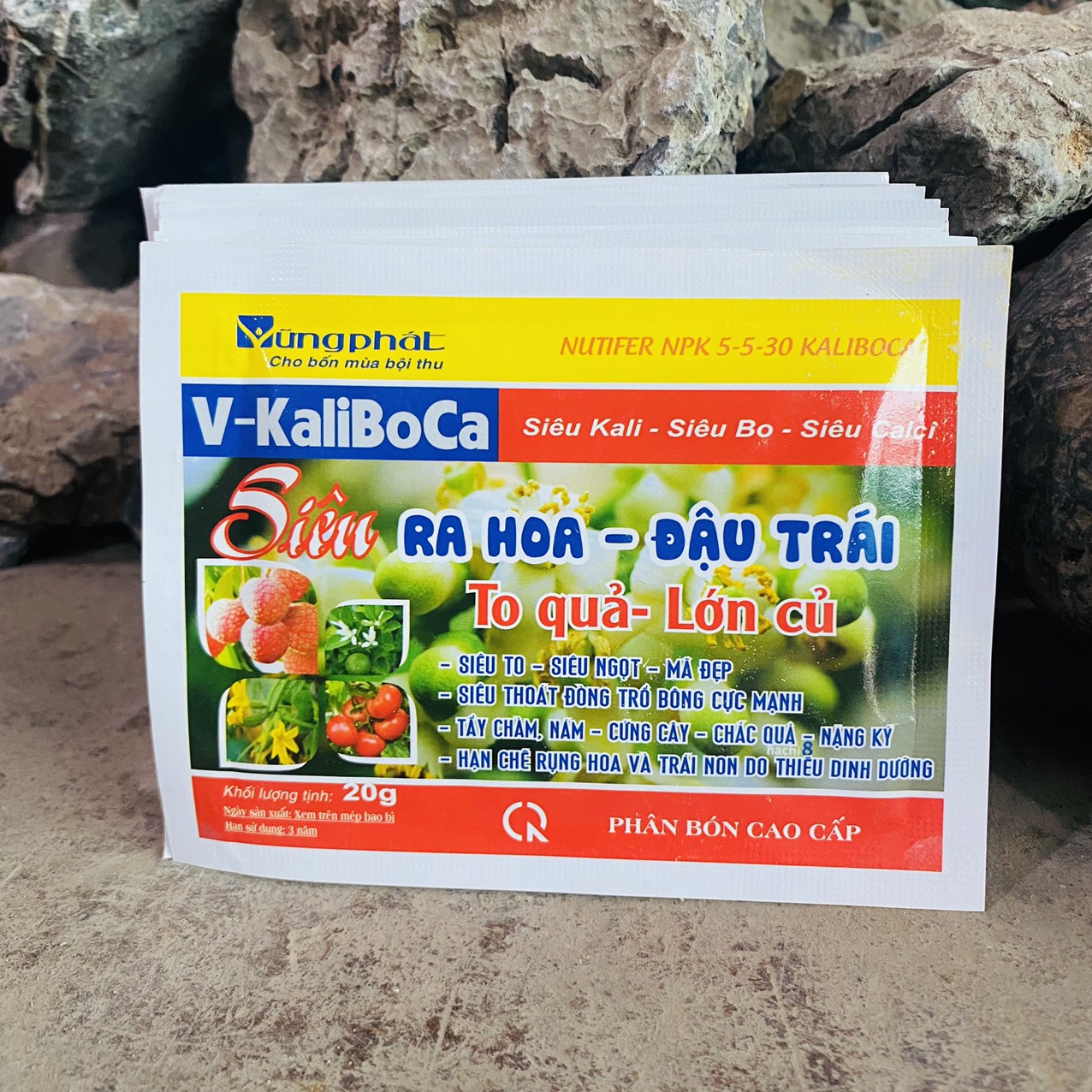 z3261196320506_29d781d9b02b7a2c61a403385a74dcd7