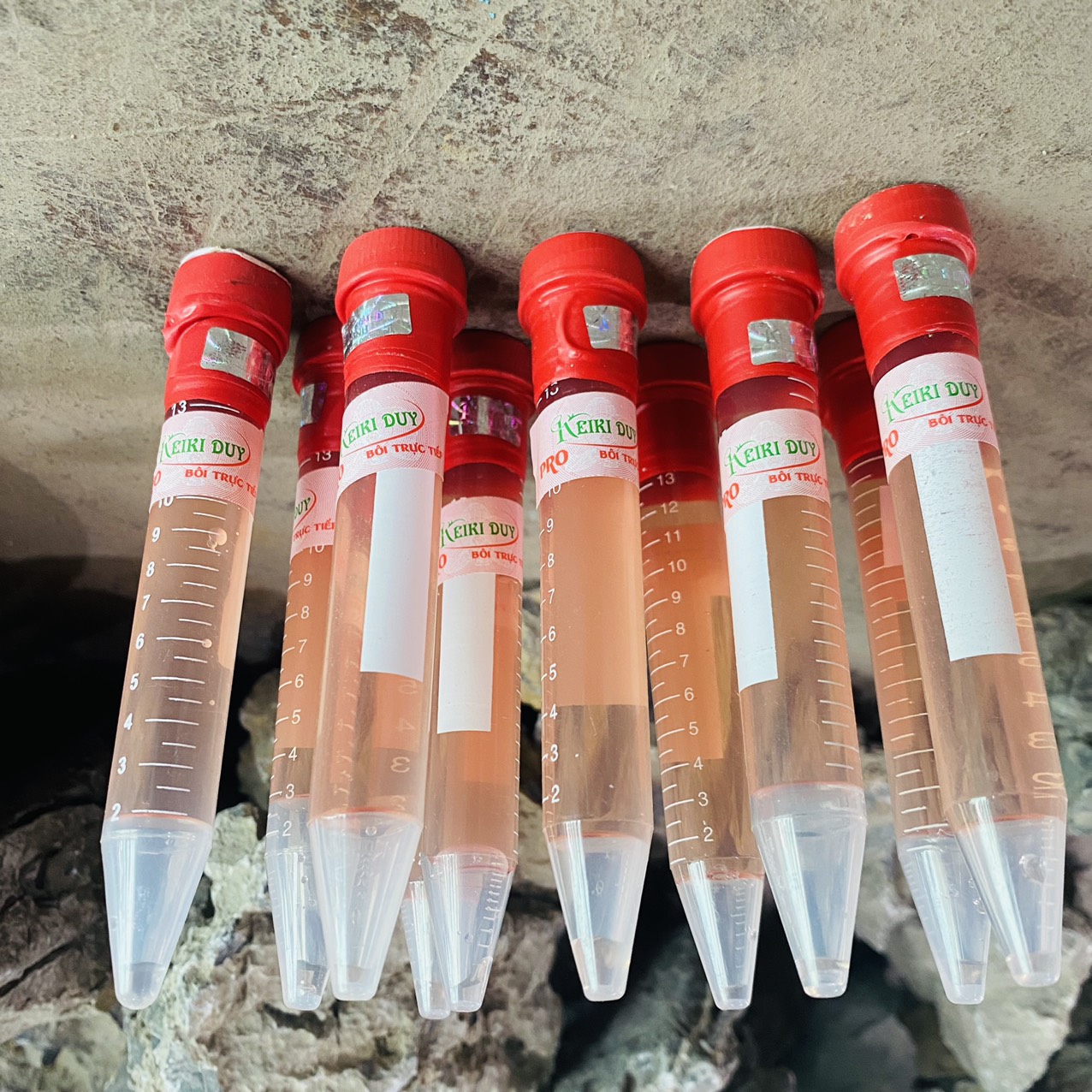 z3261215324992_12e60b4385b2d785cb3cc5cad5c2a8c1