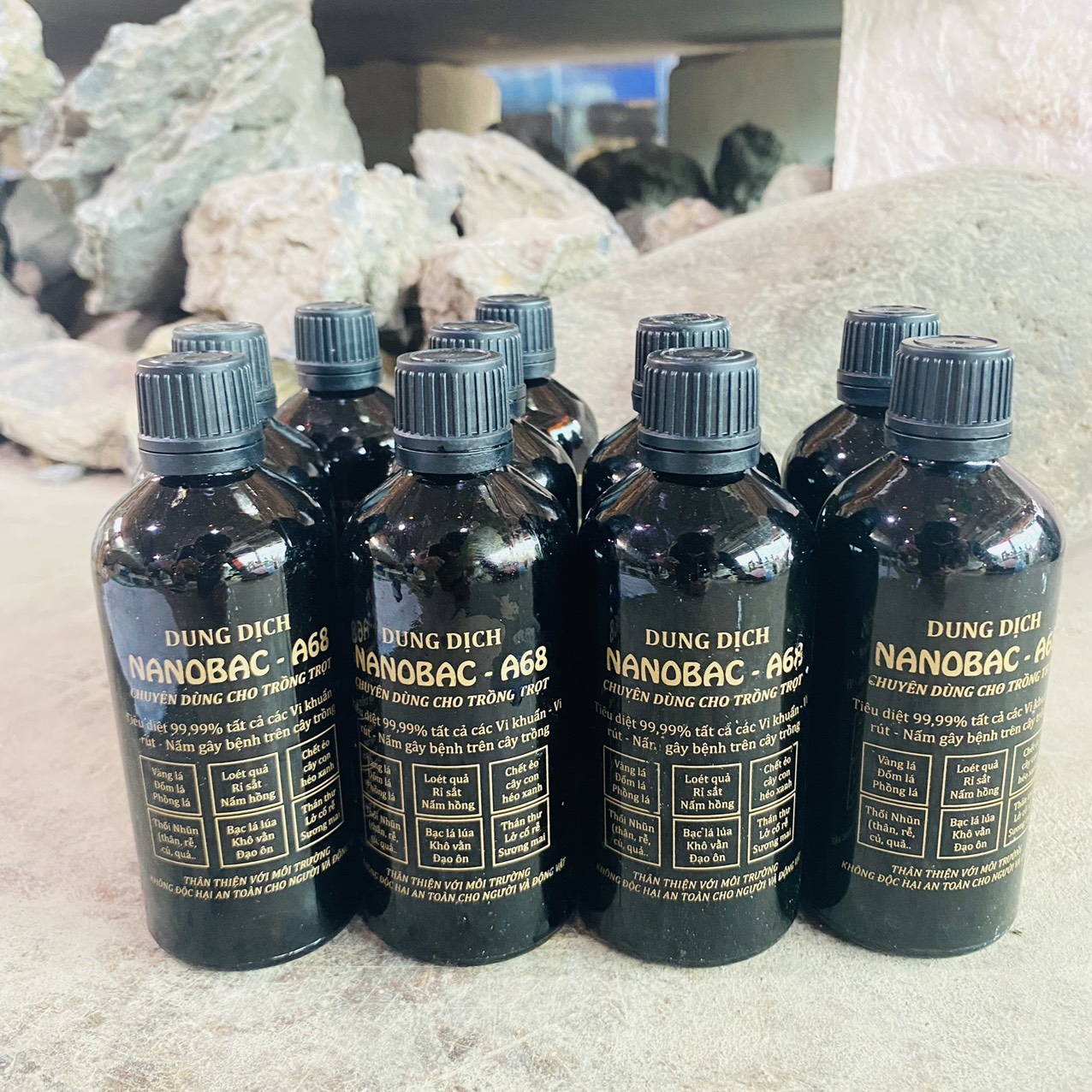 z3261296367662_44b2aa73b9f5bab169d4f9c72adac357