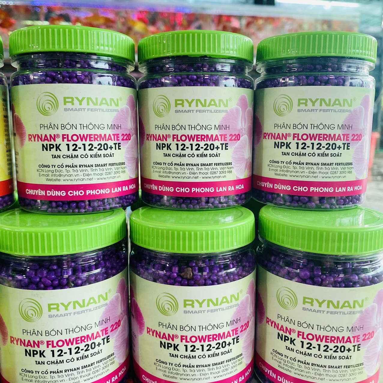 z3261343608544_c39c54aafdc7da5690e14760961d5a3e