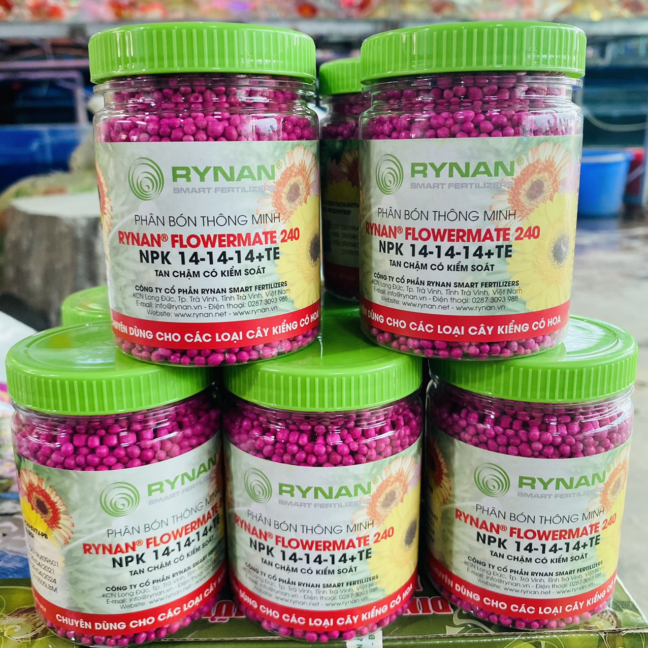 z3261357573228_0303c2630e0aaf5b9a705411a2d2304b