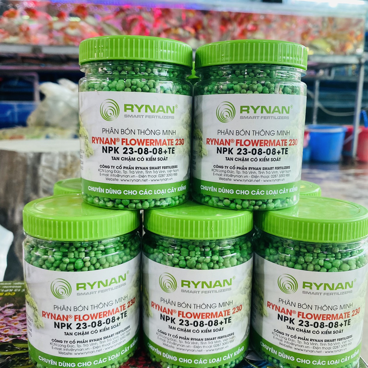 z3261362151987_18f942062938395660251fa80c03211f