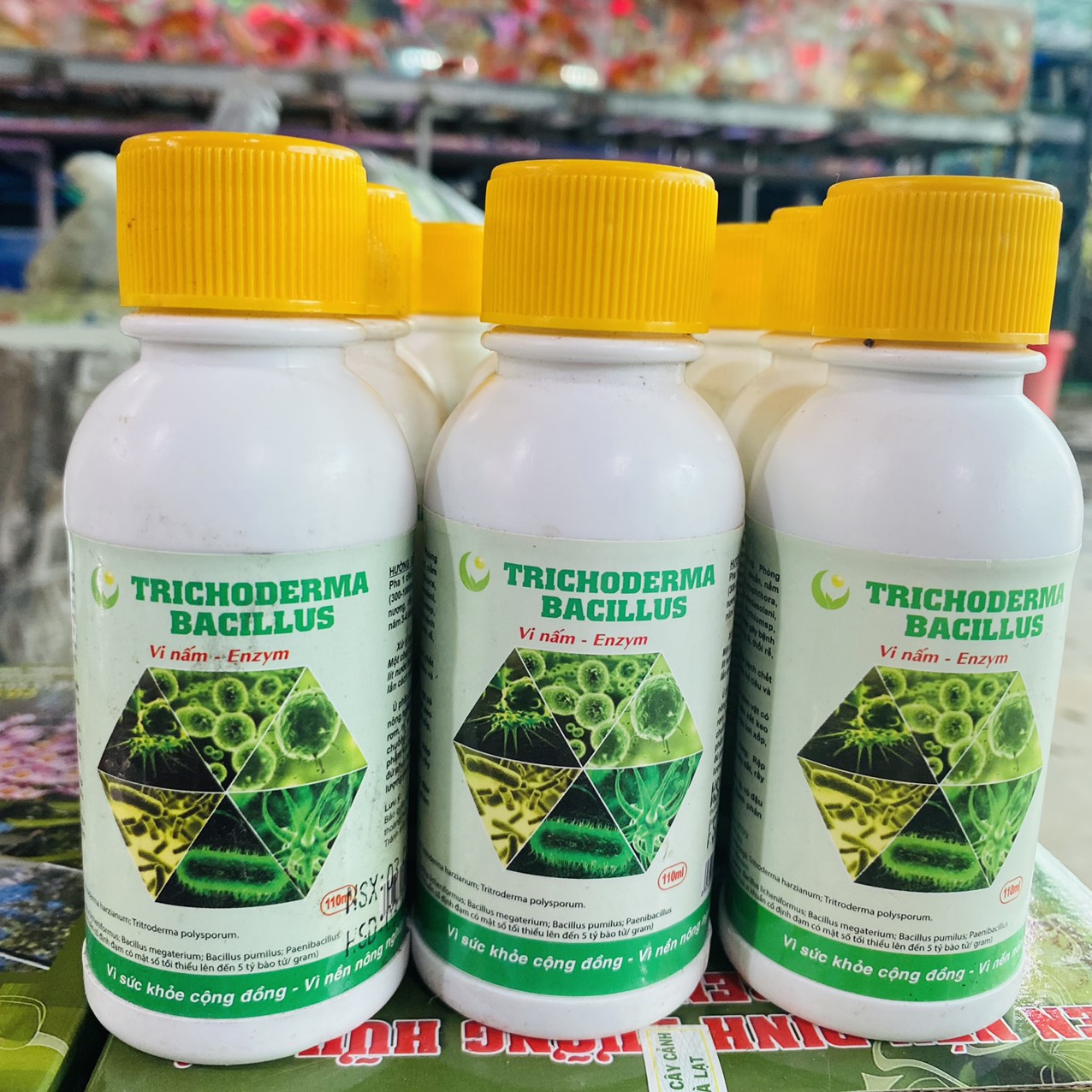 z3261372972421_09c939856e0d9b25234b95a8f757a8d7