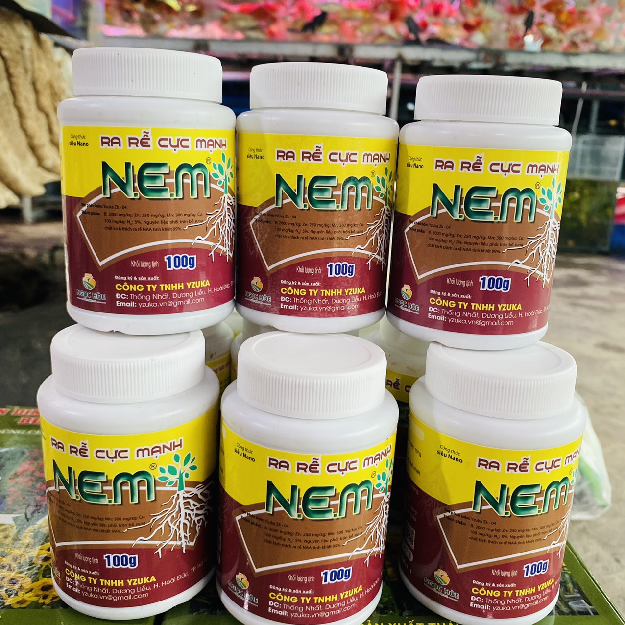 z3261568628736_9825a3d039a3c8e10f1fef4a7af1fb6e