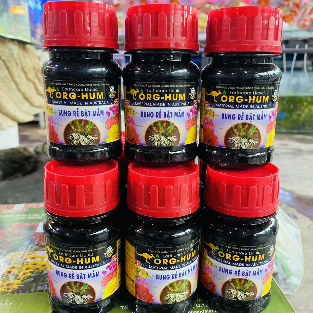 z3261635231638_cff2687989ec83a3fd9e23fe65f5cc47