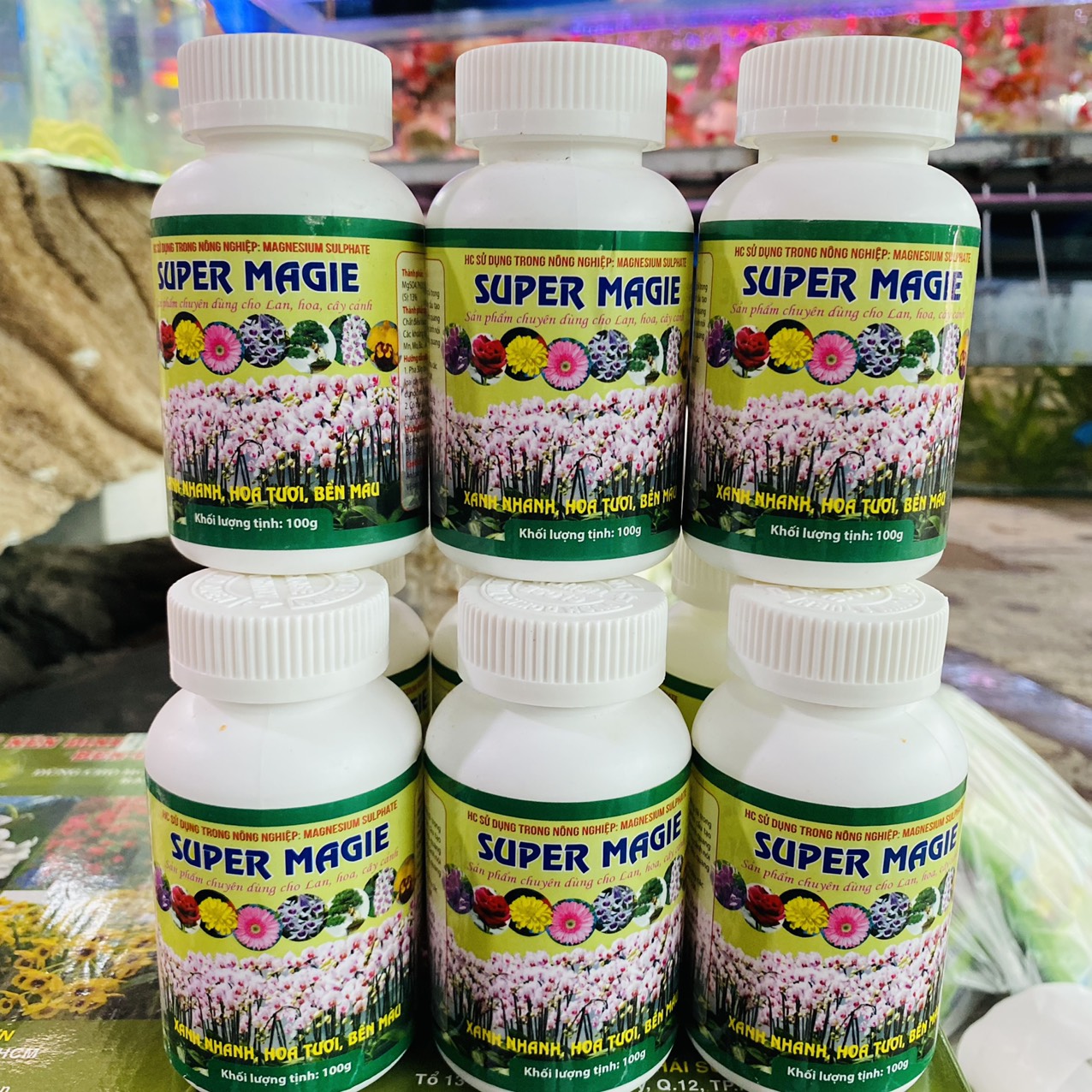 z3261668976676_c47ba66e6f7c55230d624291ae8a175c