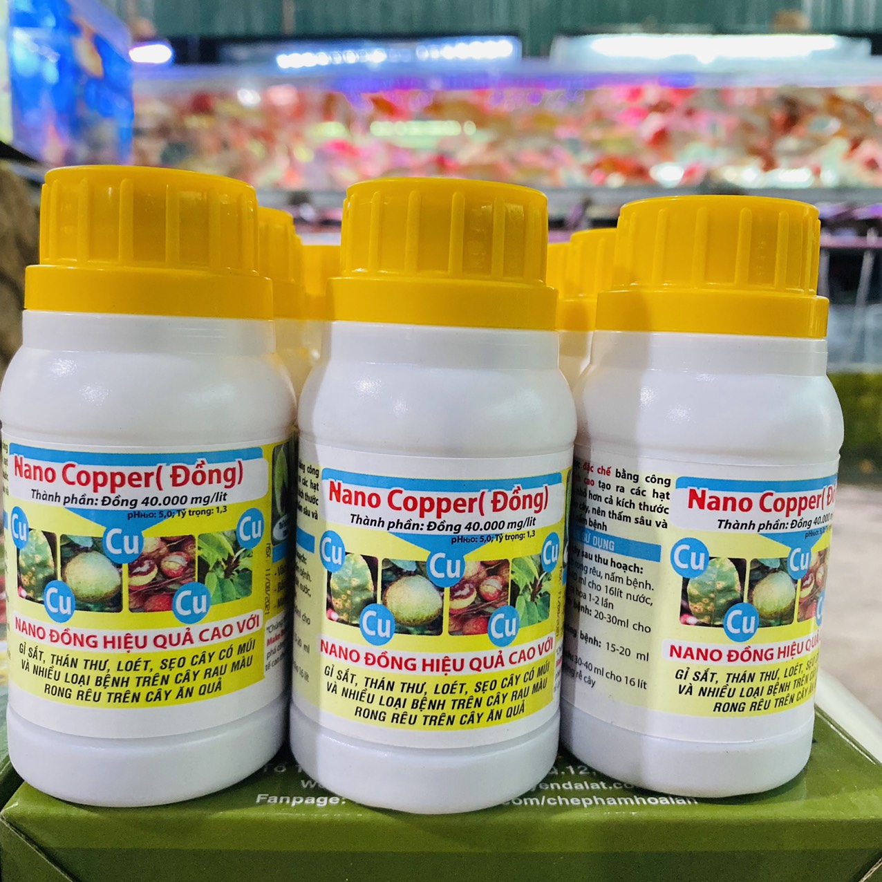 z3261856612195_96fe23f4982f7f818b05f7cca4a0a48a