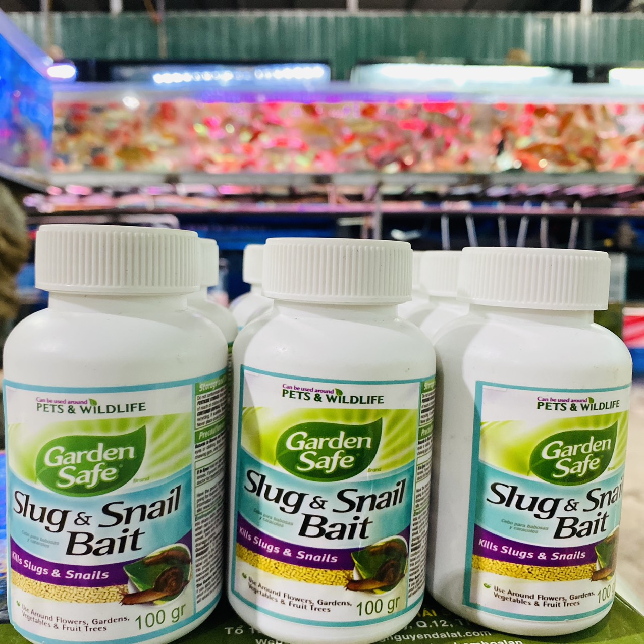 z3261879607259_6fb2e4574a88646926d4df1b6d654486