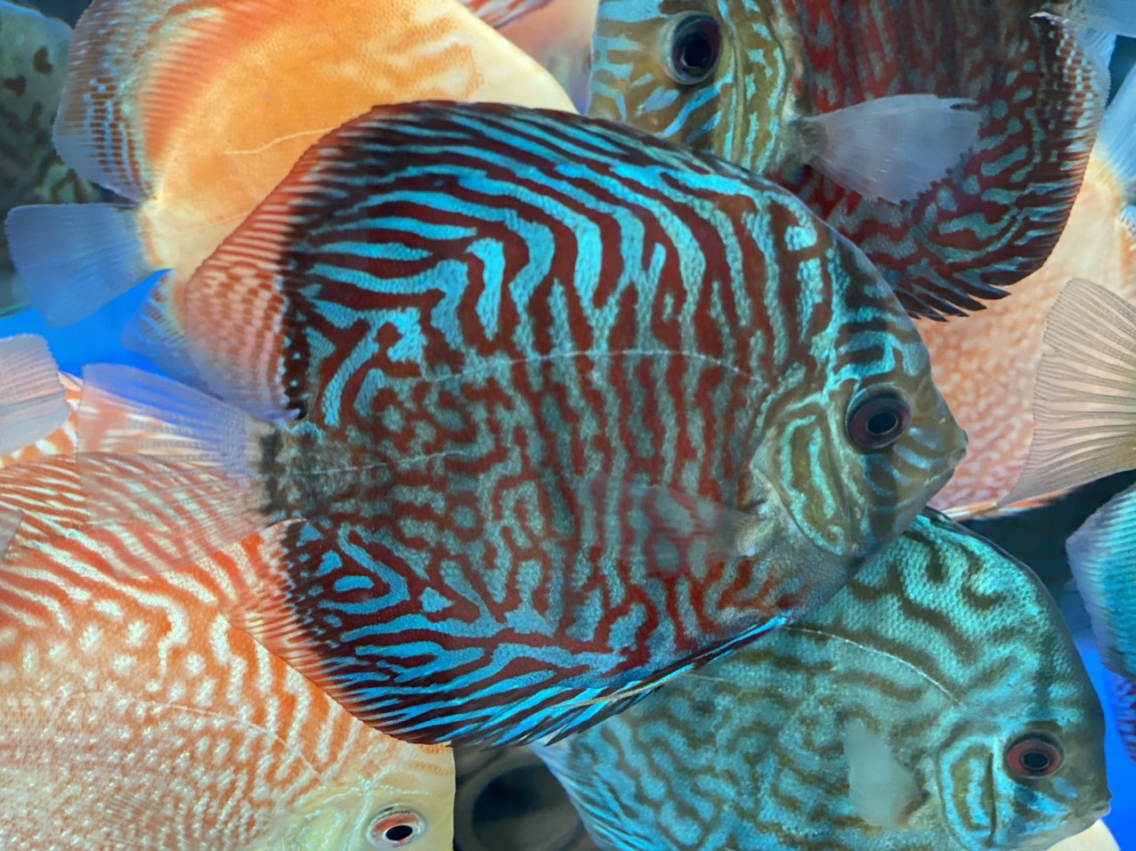 z3344424357172_c563120afdd0ea92f623f76ed0532fd0