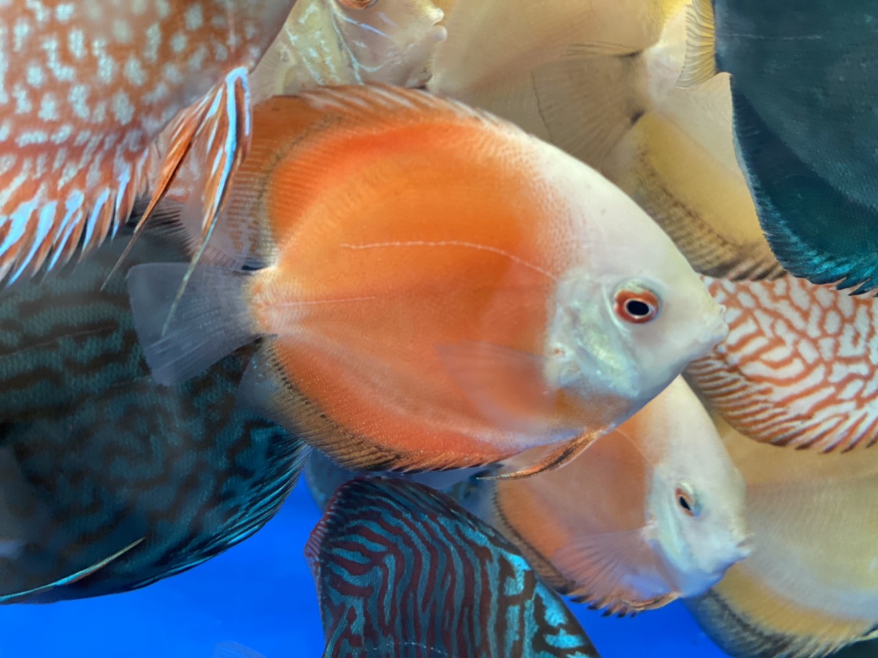 z3344424359610_93d81ffcbb708190ab4f8f580bc9ab08