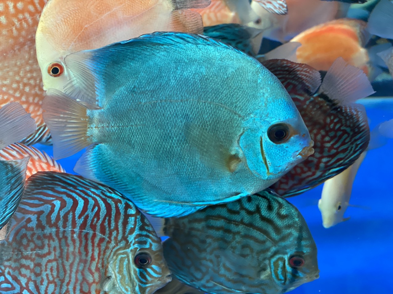 z3344424364956_3d7aa70bb0a1333eab663411e7ead494