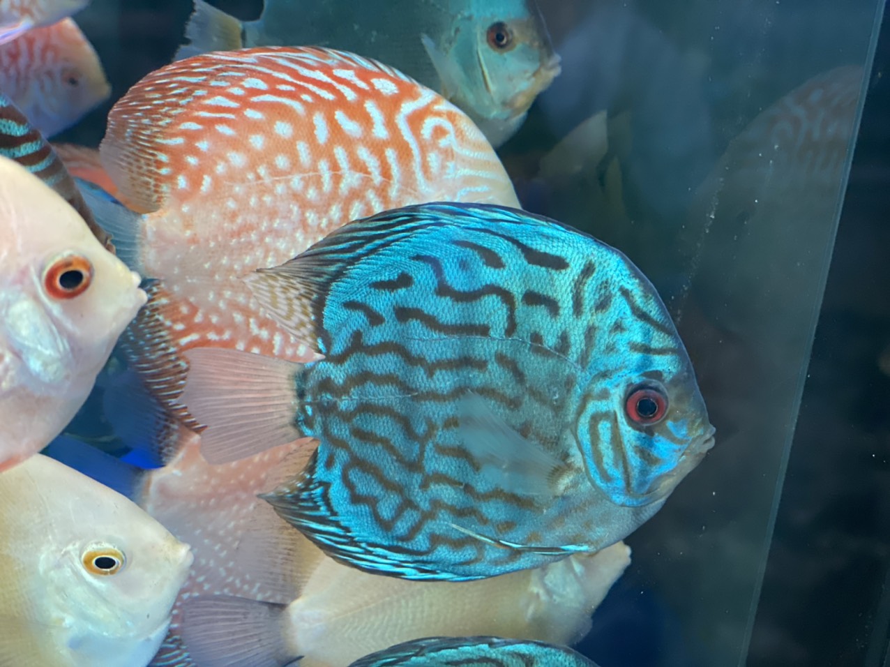 z3344424370865_78f95590023cf65c918540f3db8d7d1c