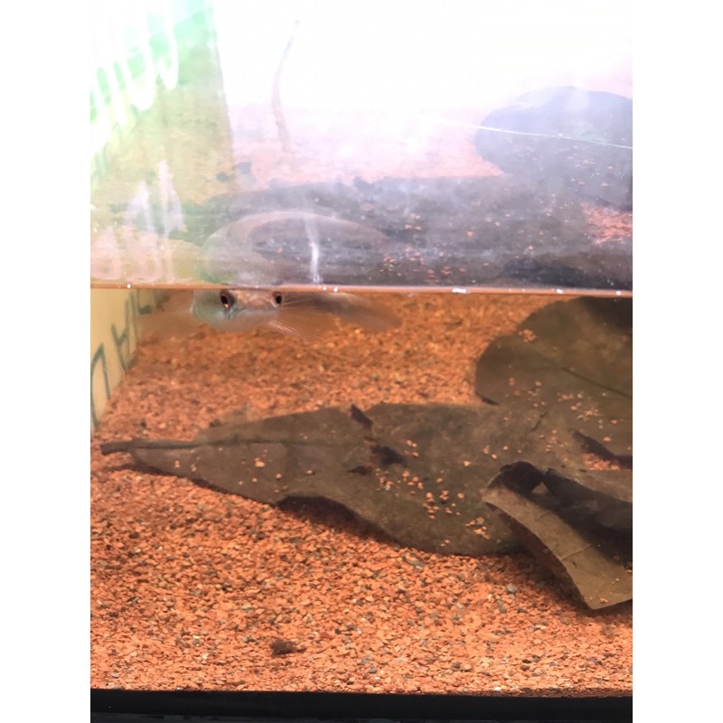 78d0935d6452c7a5f238bf5616e920ef