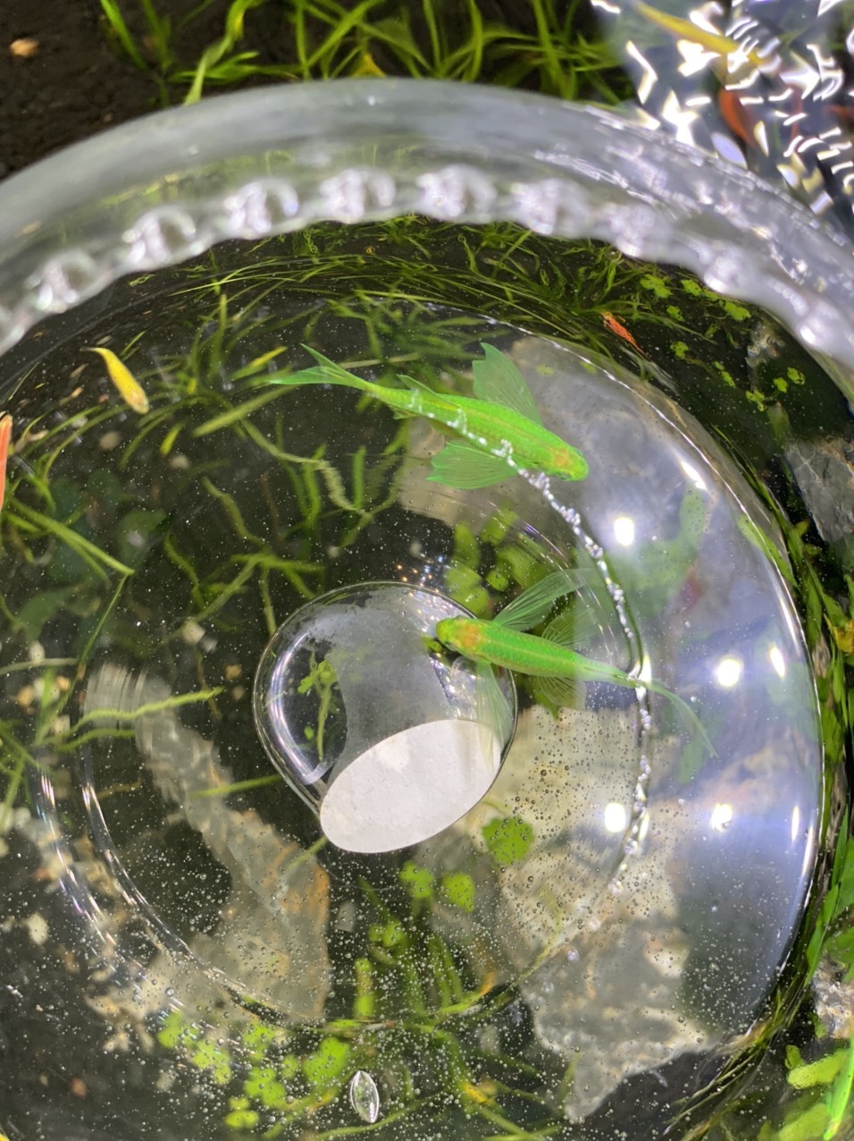 z3413828023435_bb8513e01bf5d3143e960794db3d4281