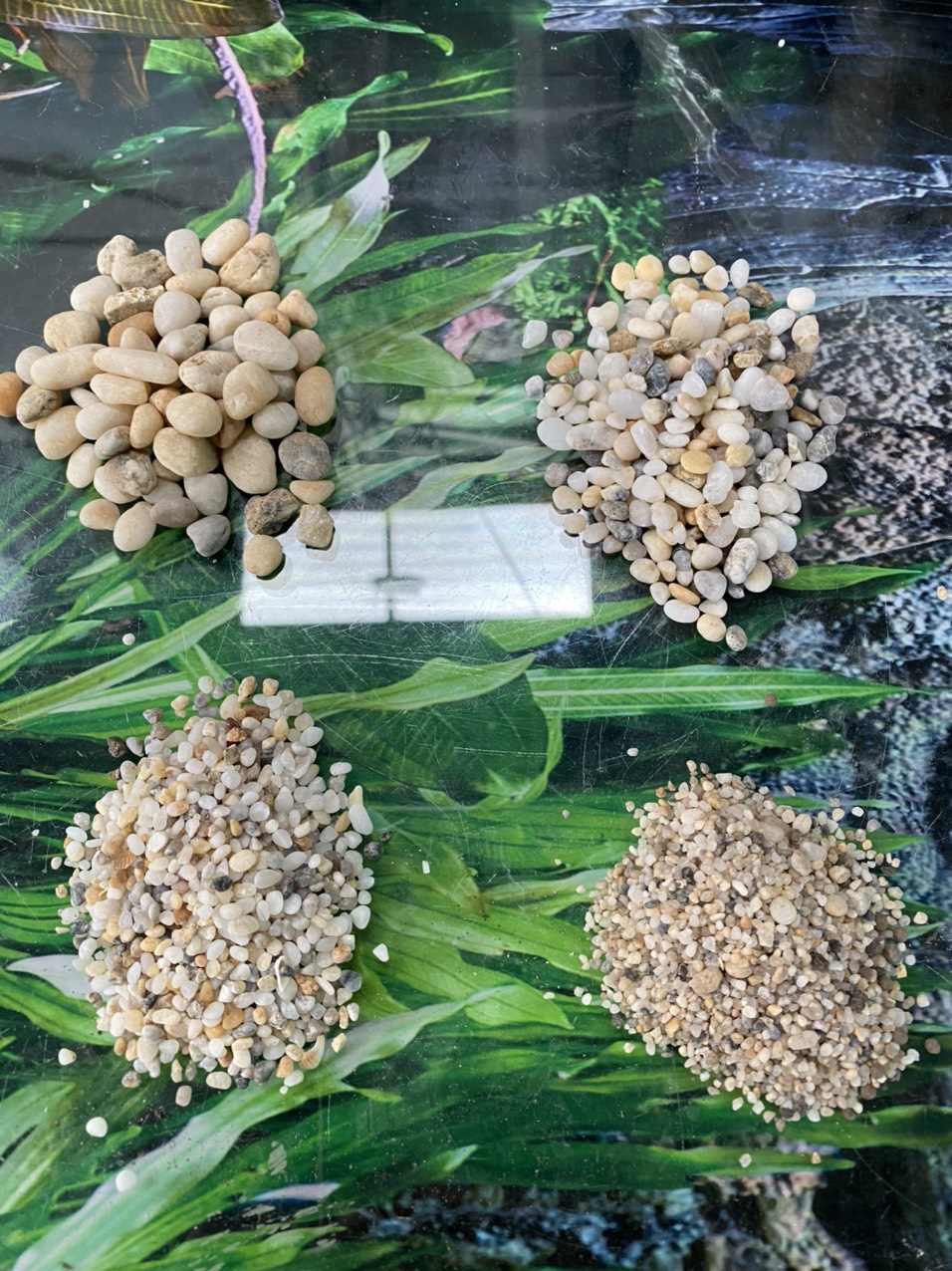 z3426182332290_33ce112f0fc373d436f0c818a5626422