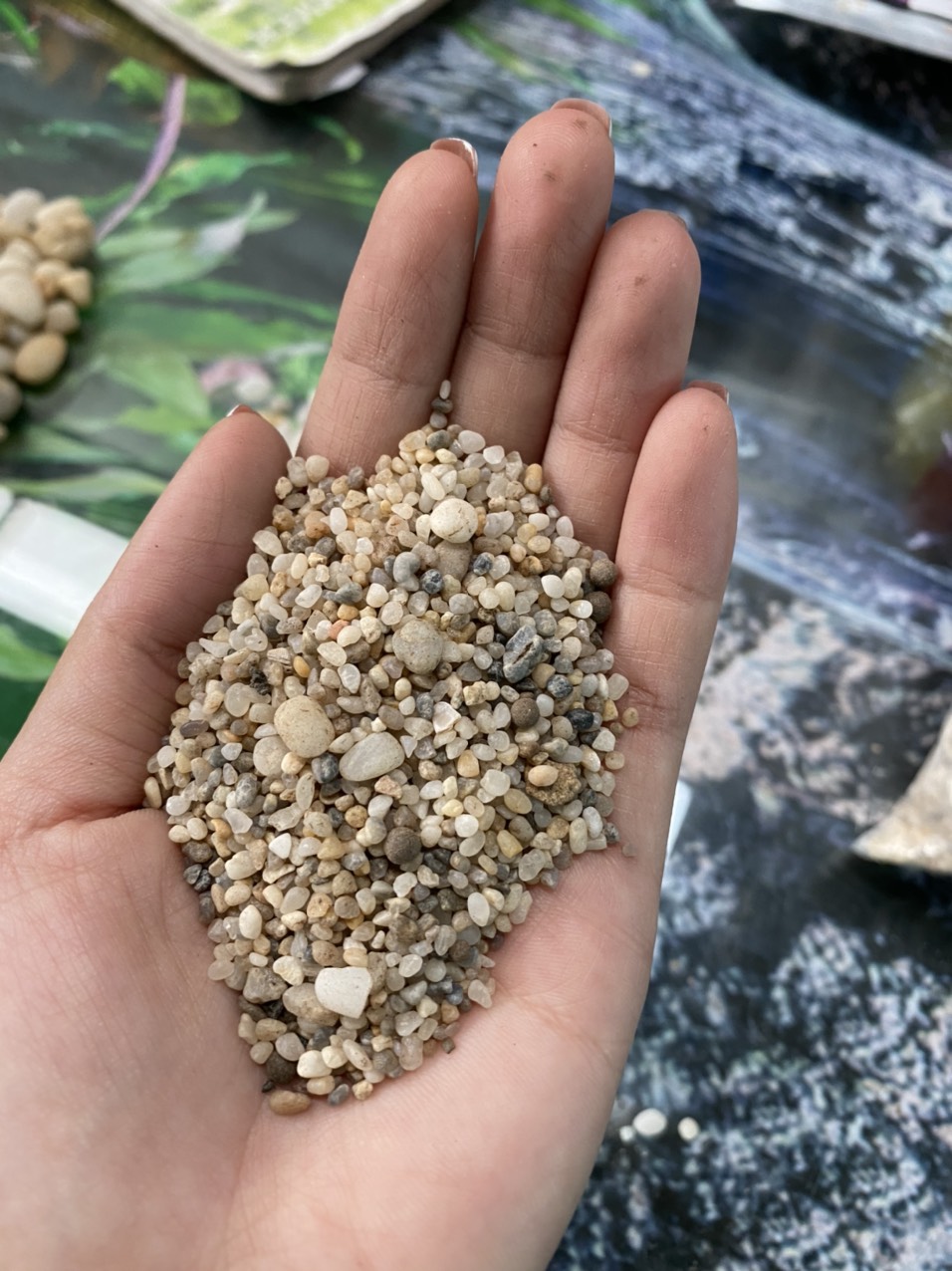 z3426182333837_ba8ef119ff54244d9a3e671b1f102ad7