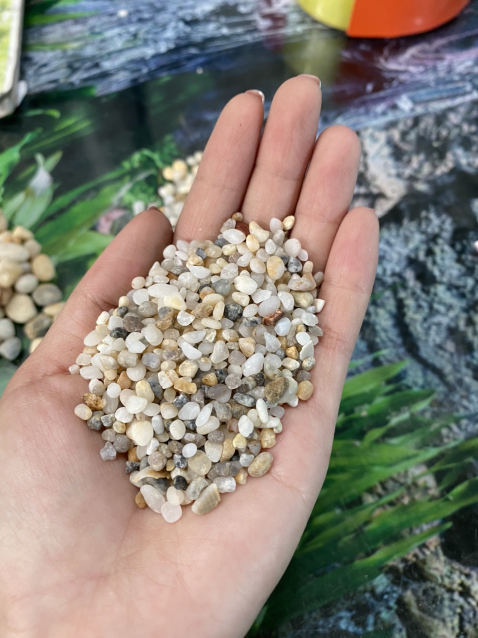 z3426182335143_31e21428592de2d43d933810dedf5fda