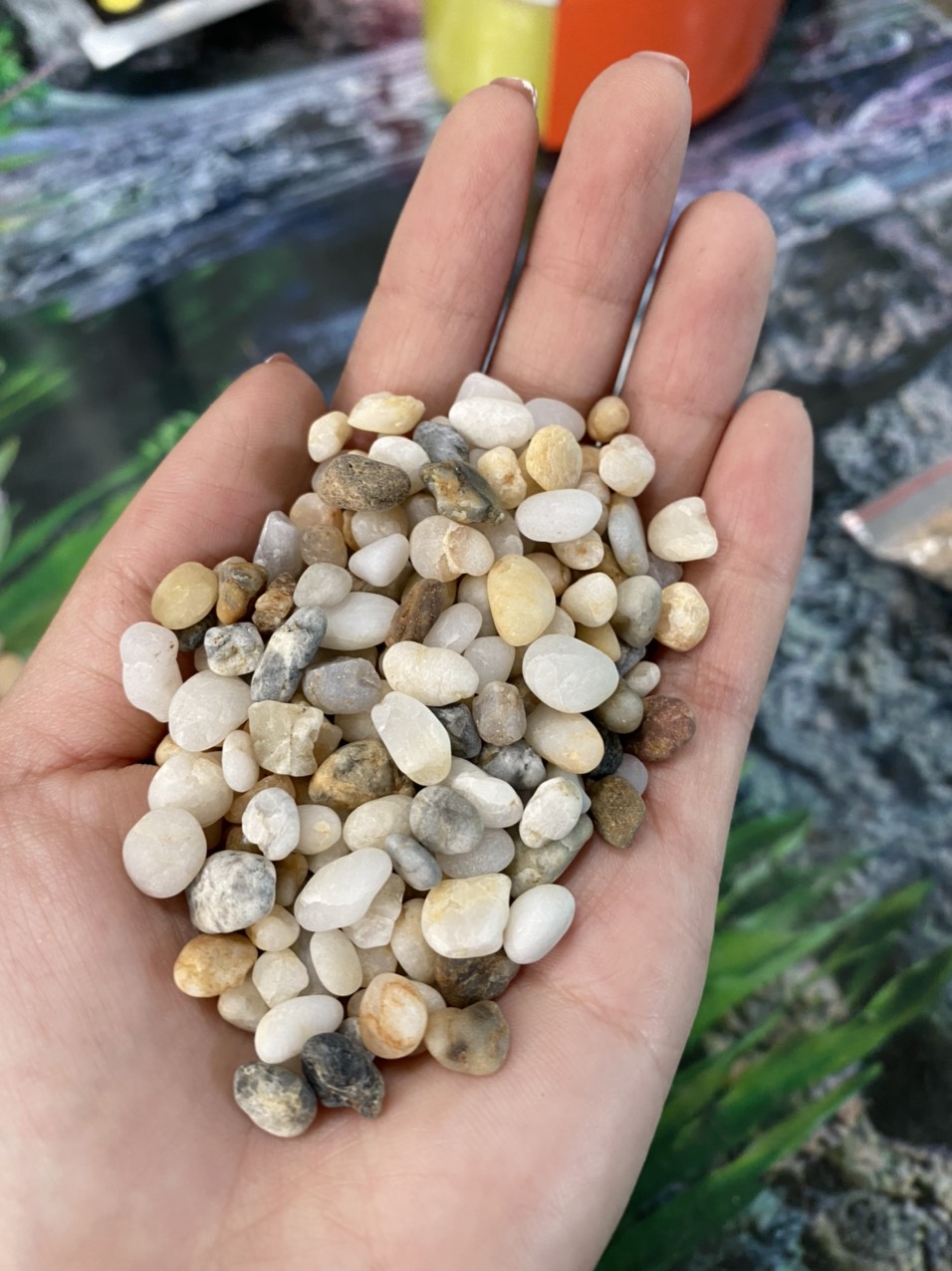 z3426182345962_3e7a1442a37713527d3db03a7e89148a