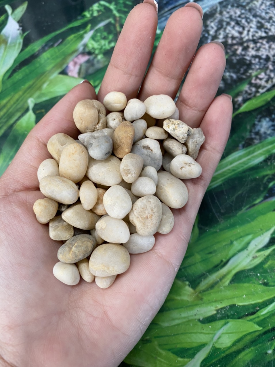 z3426182348167_023e23a49d7e0ecd2752082b709821b0