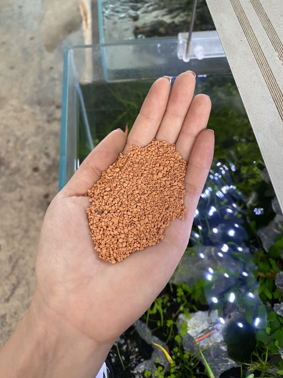 z3426317382984_cd61d50a3c9a08859b696975277e628a