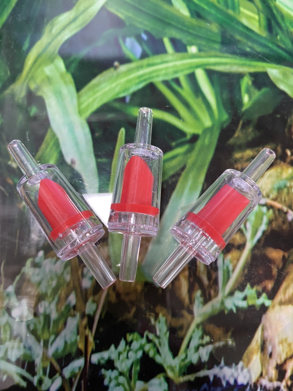 z3428785030293_472528b269a1a395f55530a890f7744f