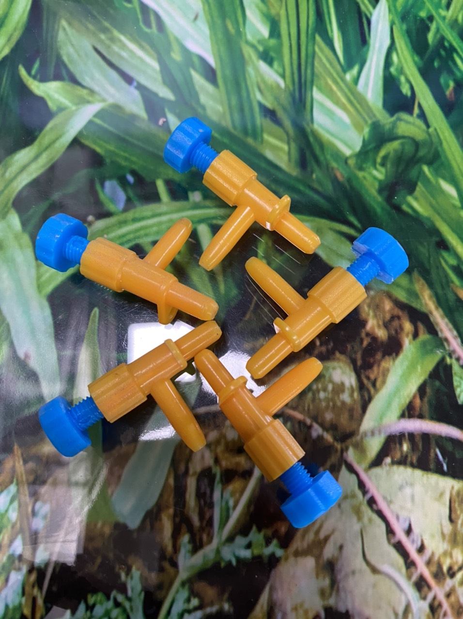 z3428785038367_a47794b74a213ca5971d24ce3918fcc9