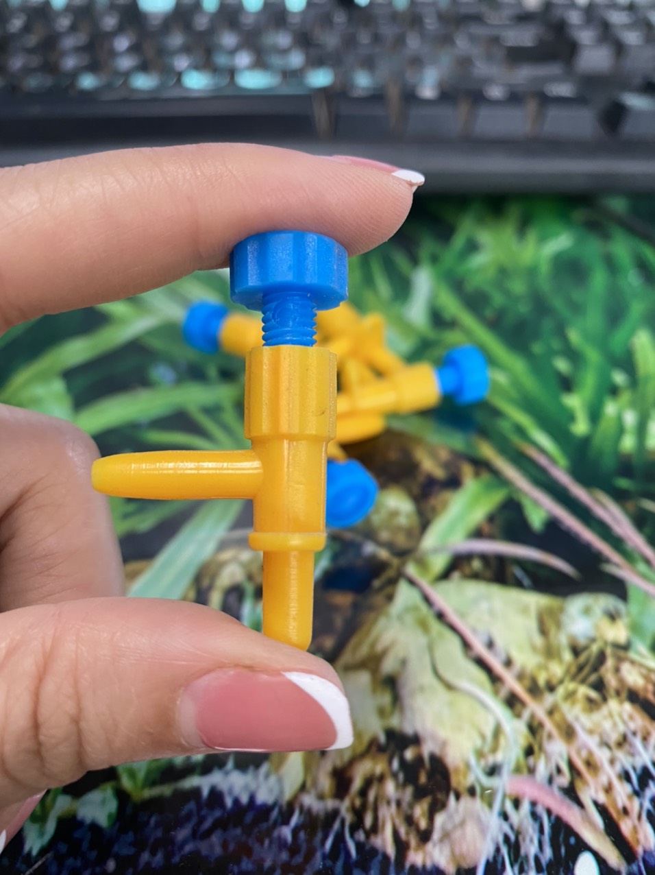 z3428785041044_6b6daa2d2cec4266f2504b3323ad6963