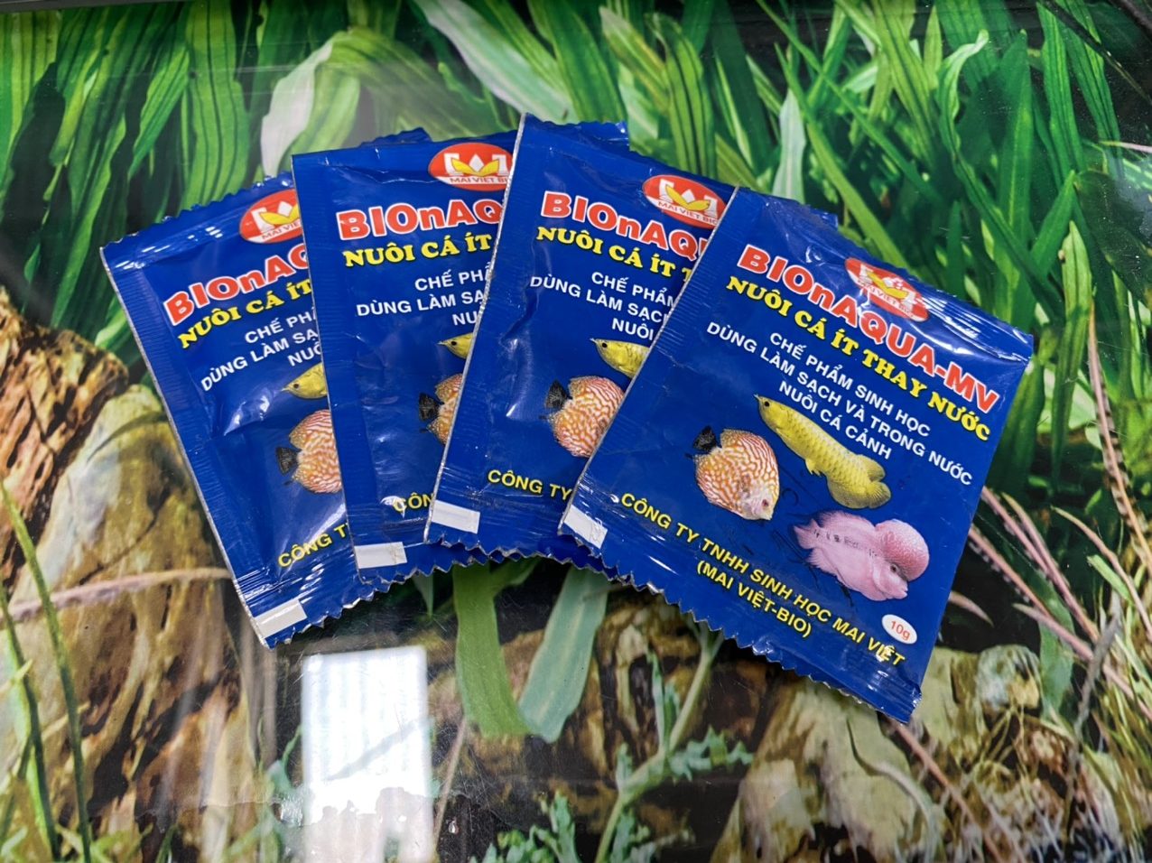 z3429006360669_224f9a8f8bc043a999969df1485266f1