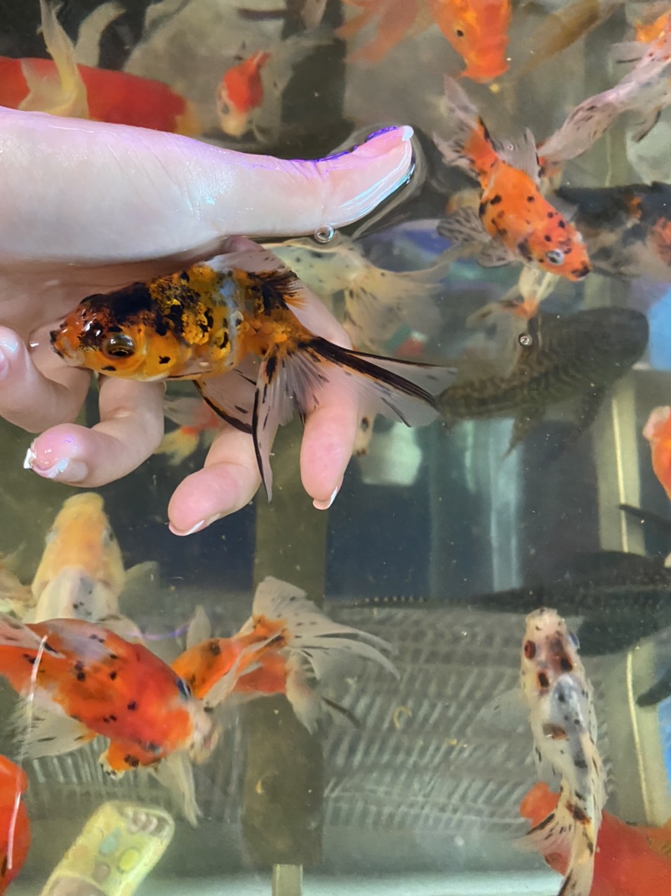 z3449159479289_8e44d921f2a4f4581ddba83b6616b2ed