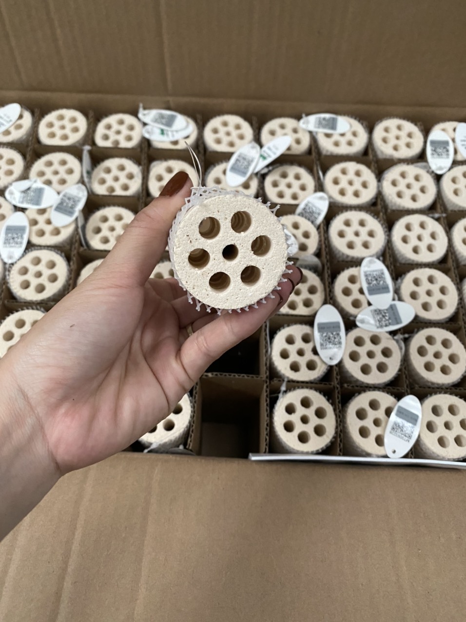 z3451249791049_fa04a8842ef1219317dc2b3d3672ccfc