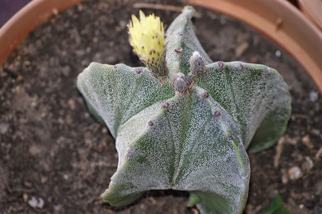 1a9252298c644aef46e19aa00b1cb4be