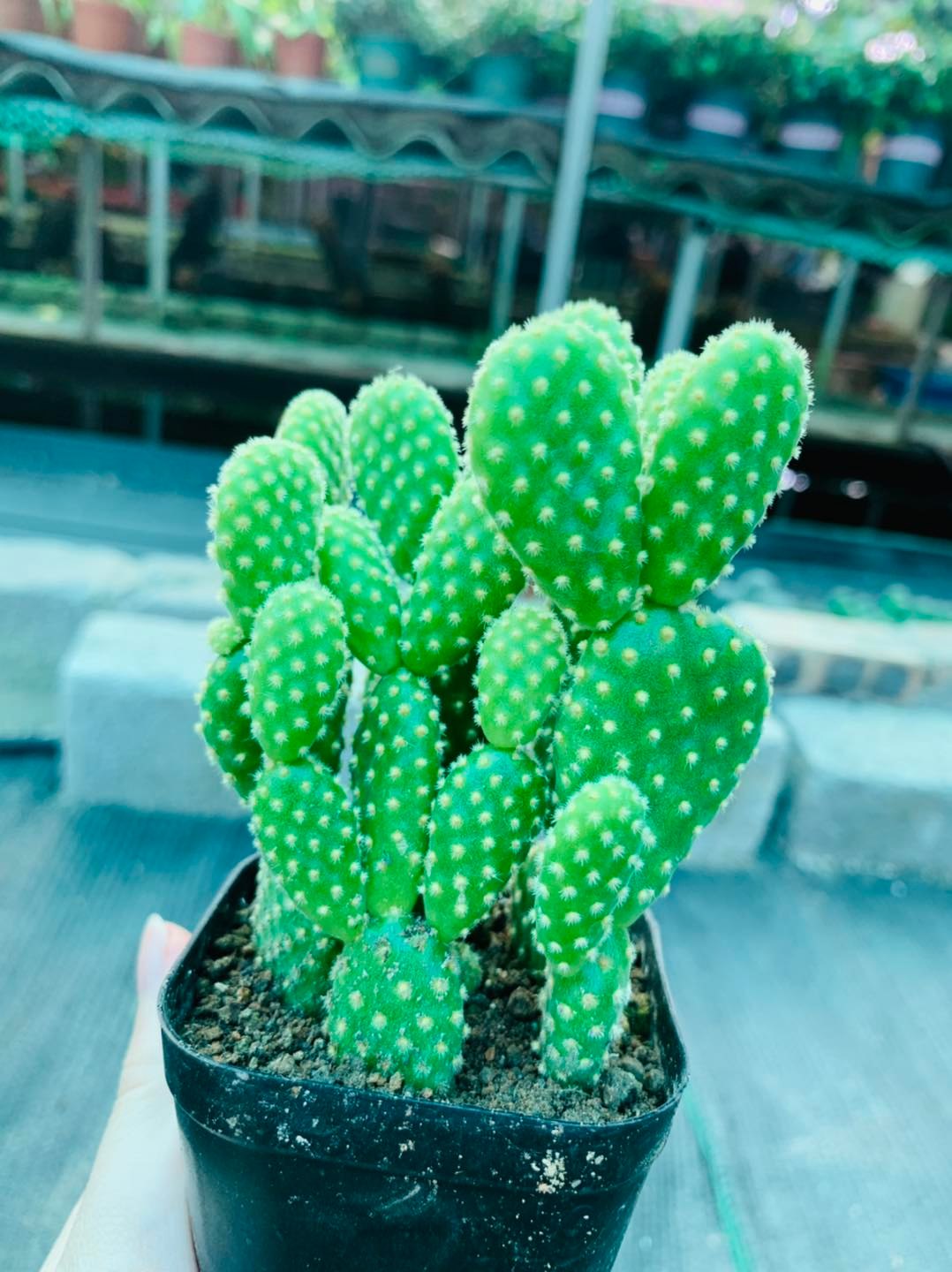 267731068_3108915589390358_914296646584745828_n