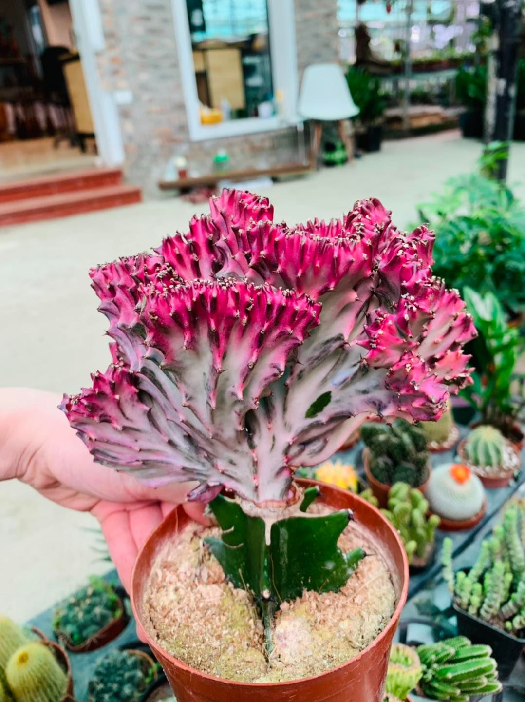 274824147_3163571470591436_5596406648267850836_n