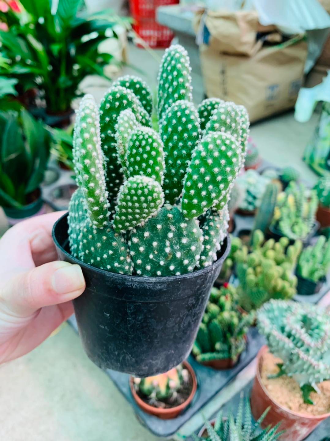 274864177_3163571347258115_5675151424364261119_n