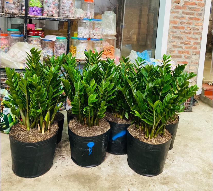 275116061_5587925484557784_8950084708401706203_n