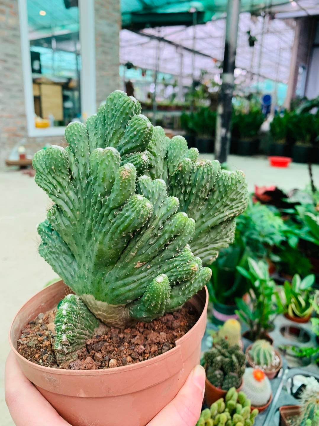 275172718_3163571513924765_5575530167861064185_n