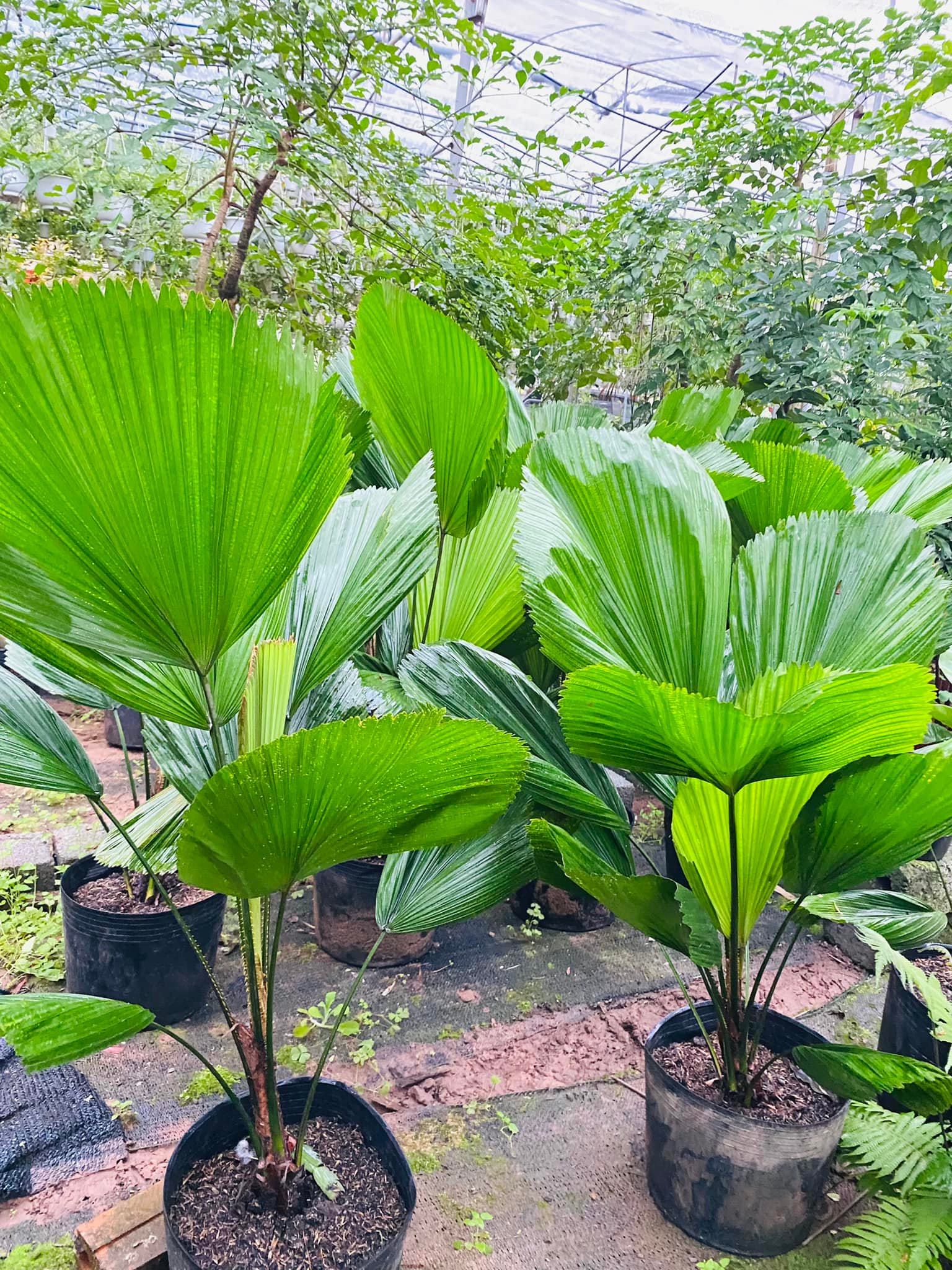 275378551_5587925881224411_7169731795449588428_n