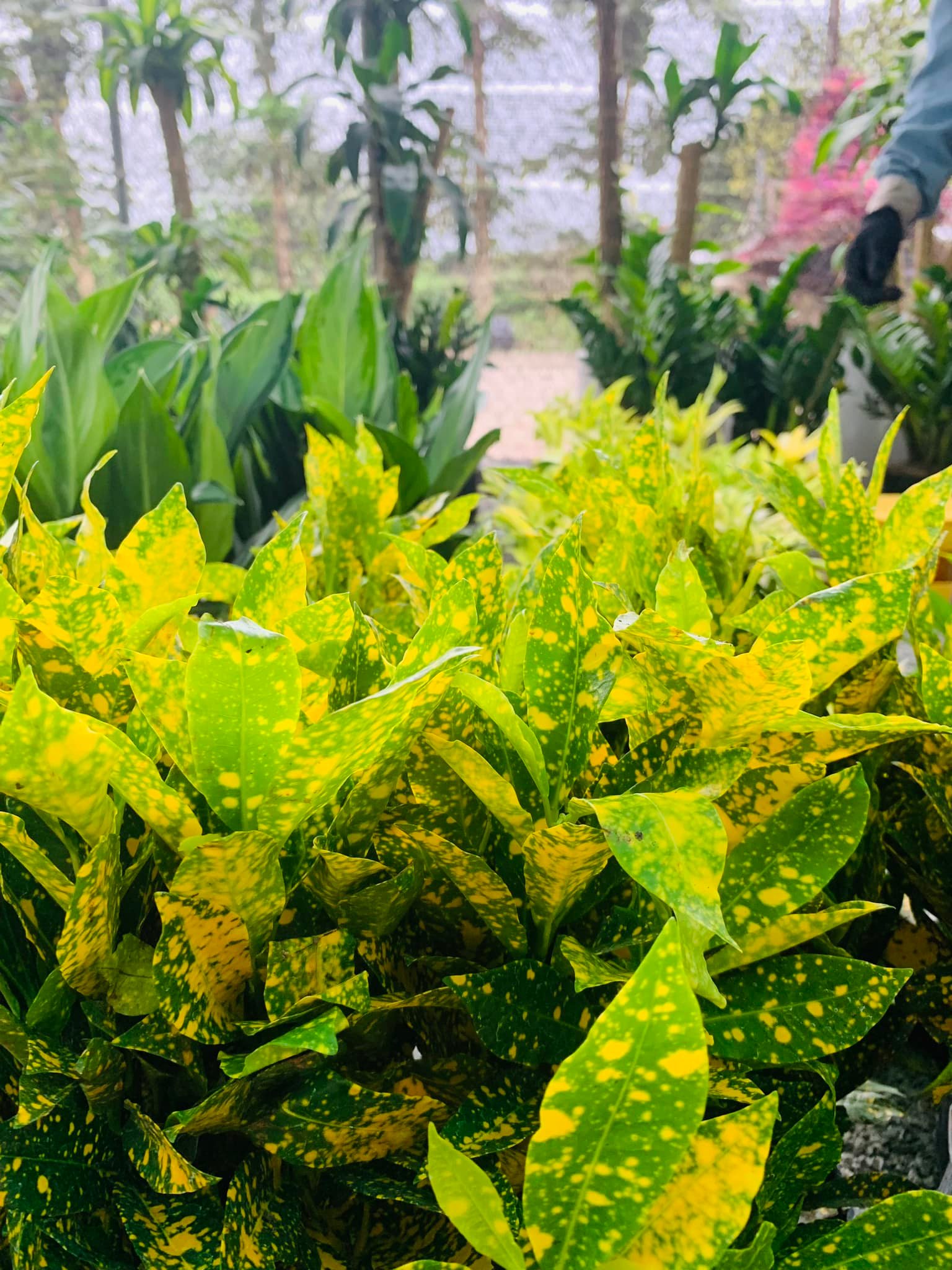 276195630_5635713113112354_1372864609633193163_n