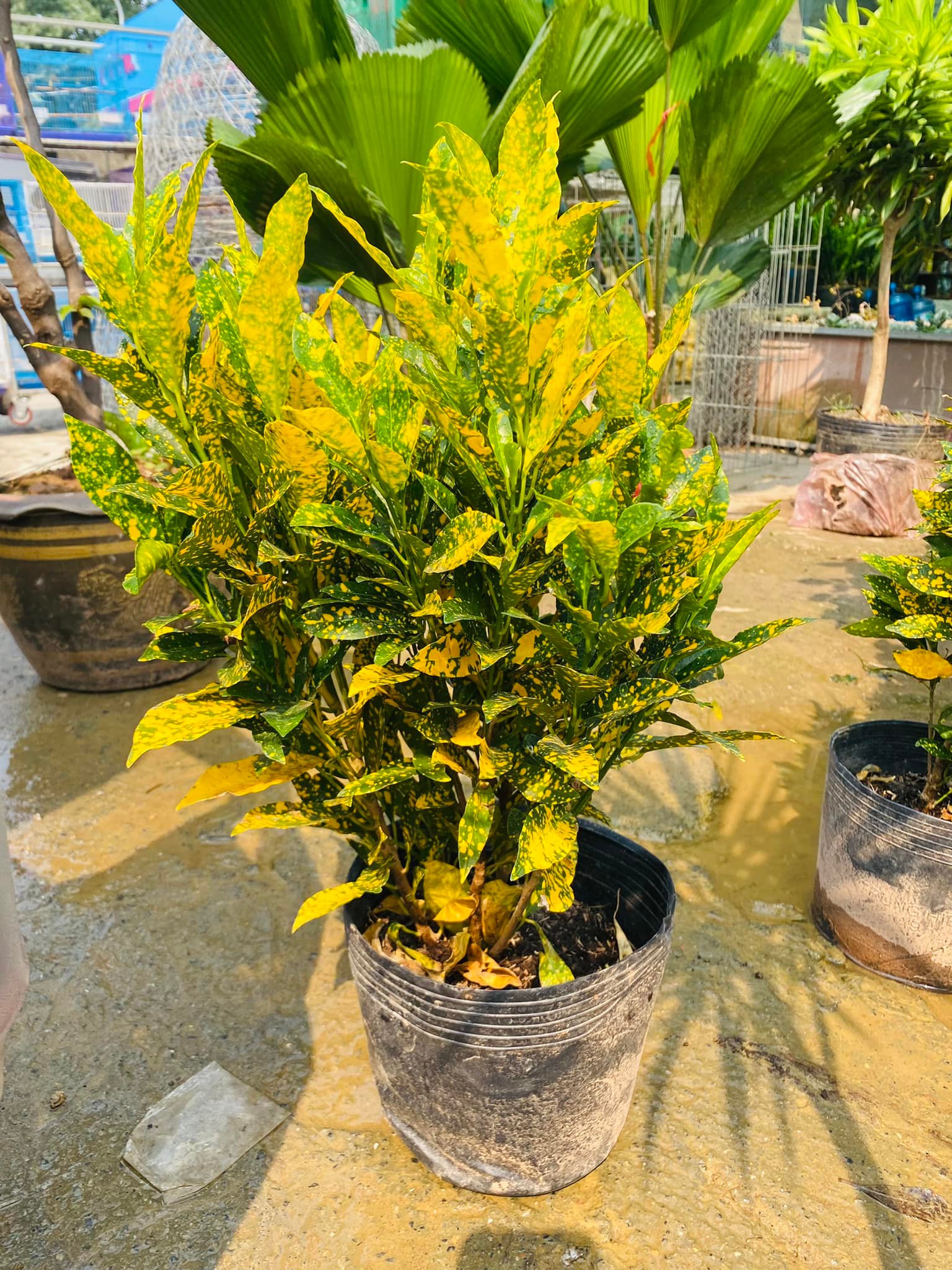 277569602_5674258272591171_878424434313730420_n