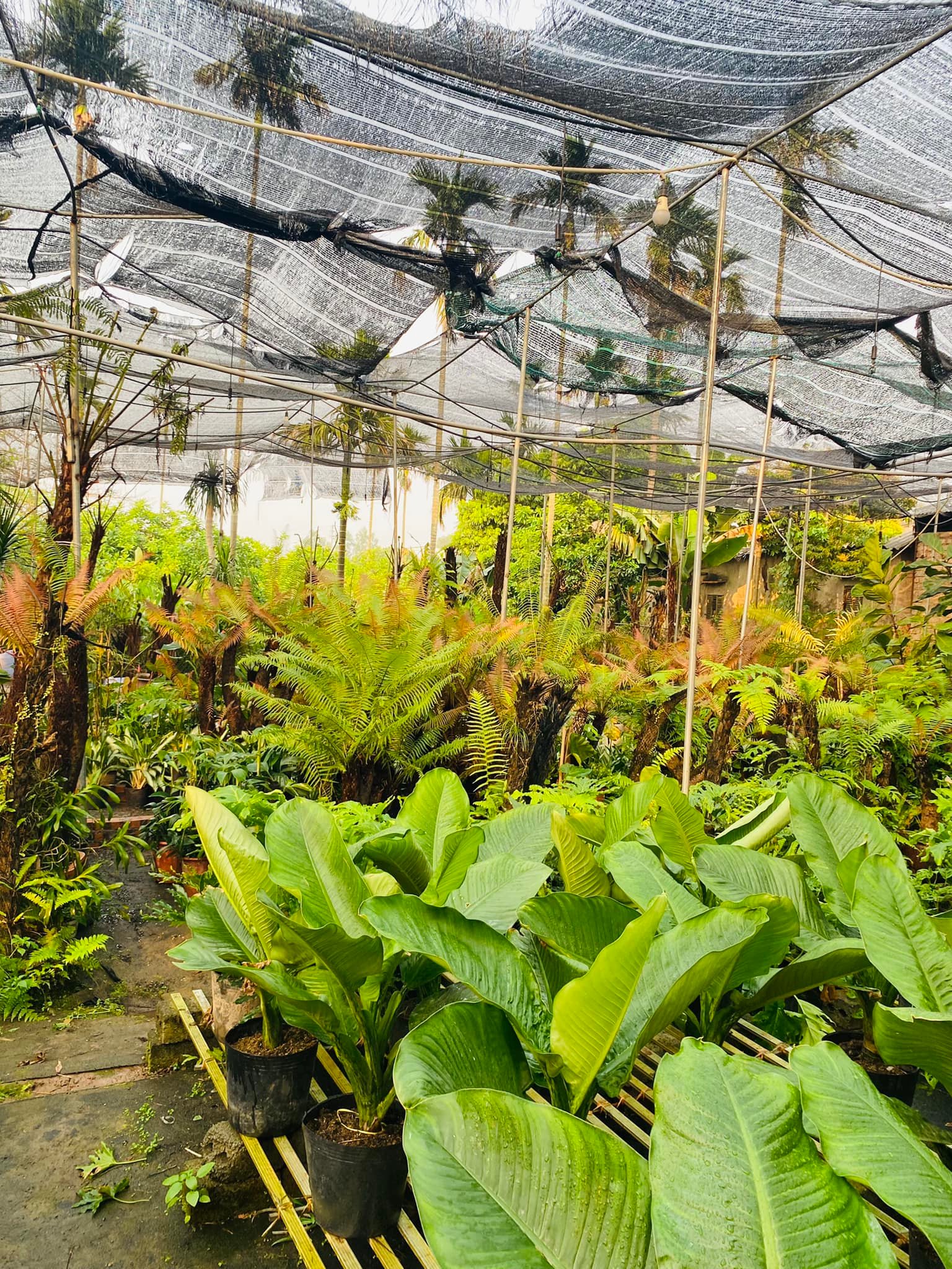 277728528_5675078765842455_7738969781987774297_n