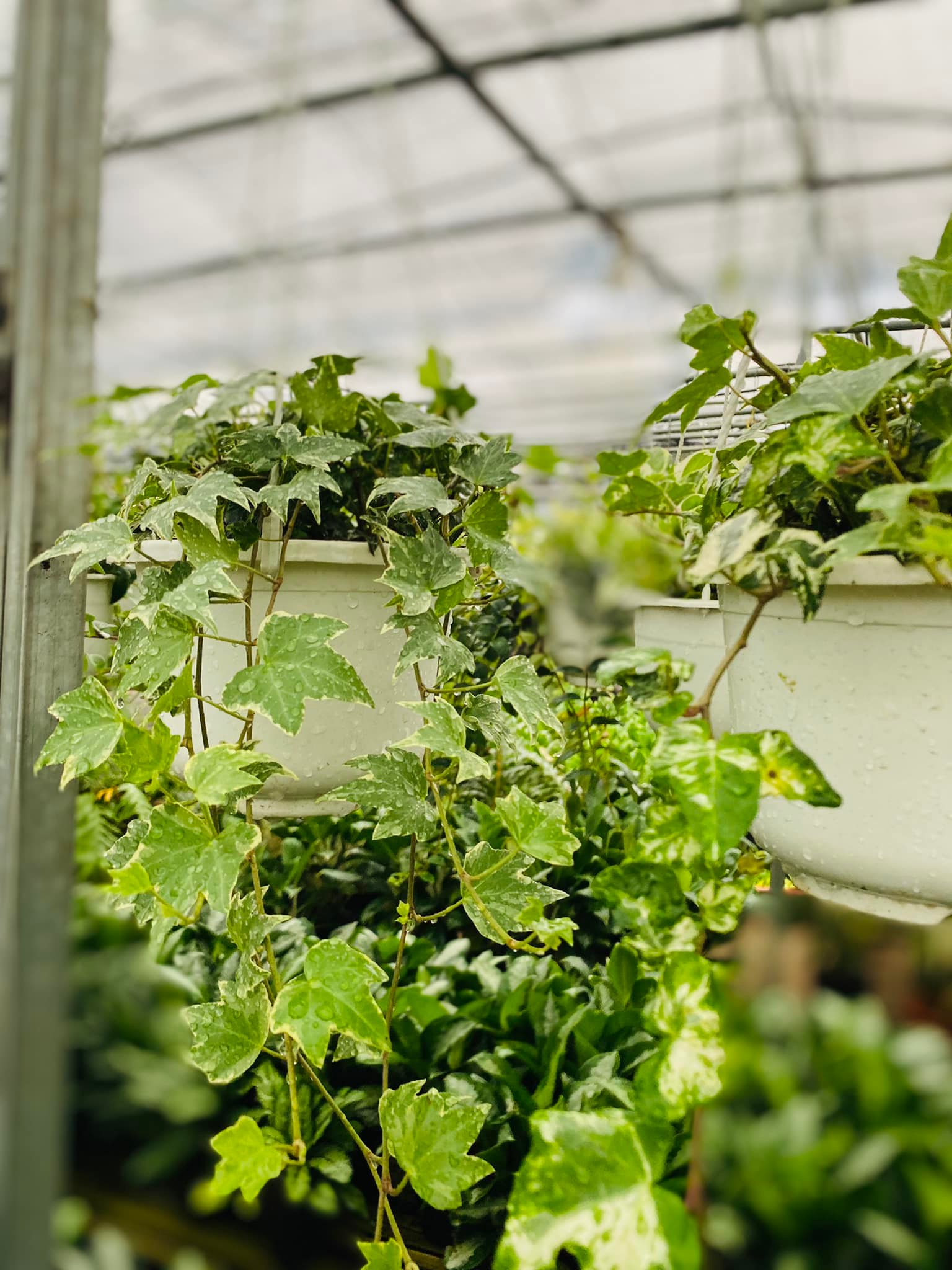 277812291_5705156539501344_5297170306605089627_n