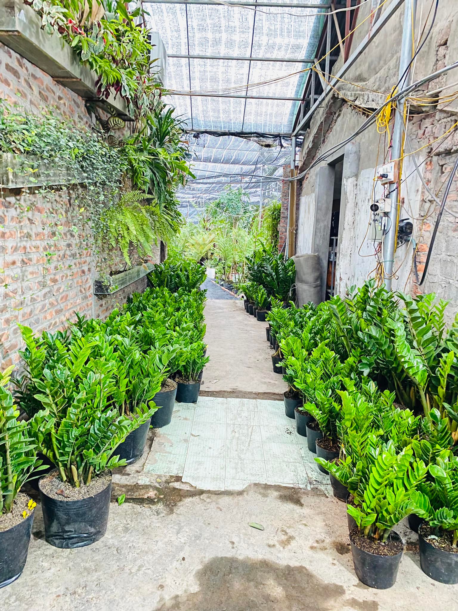 278252848_5713463882003943_5125769776028136441_n