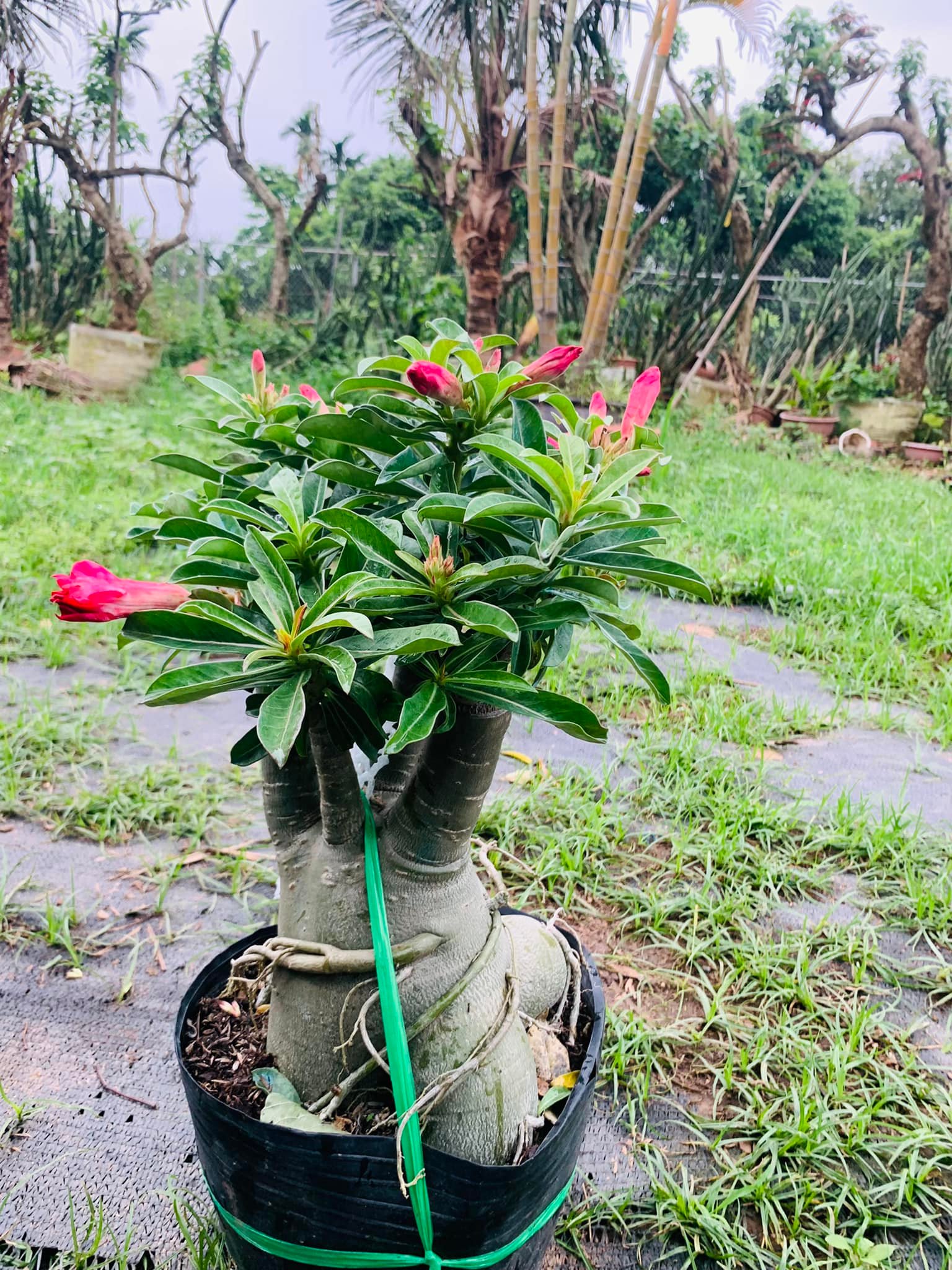 278476489_358284152993583_3126388026582826127_n