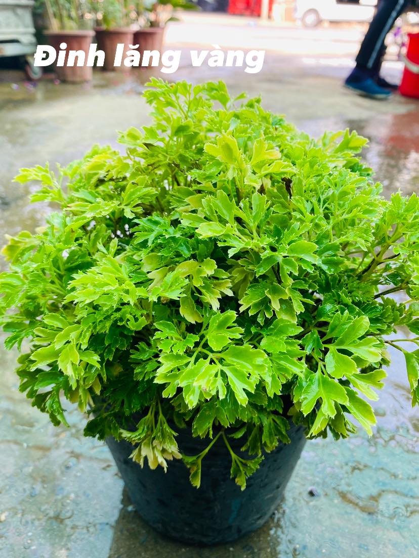 278737961_5713327578684240_7159200715490617317_n